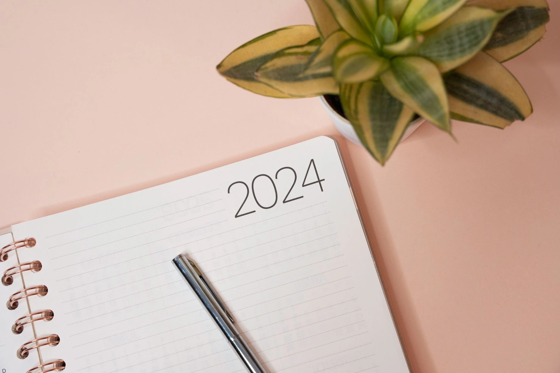 minimalist design trends in 2024